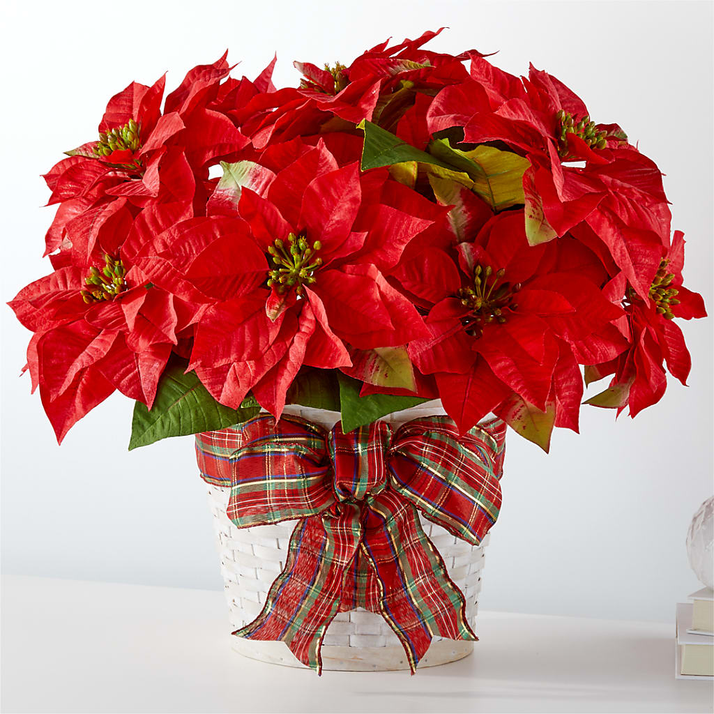 Happiest Holidays Poinsettia – Citiflowers, Silver Spring MD