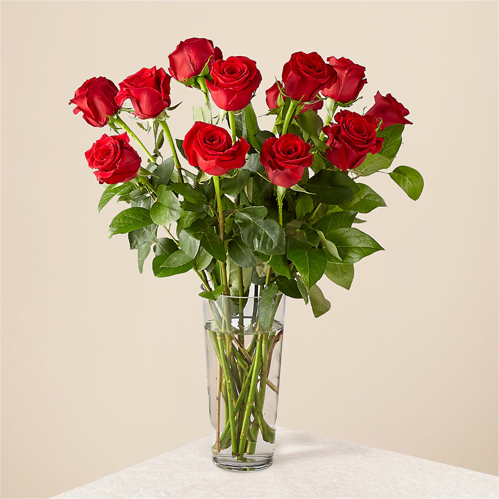 Long Stem Red Rose Bouquet – Citiflowers, Silver Spring MD