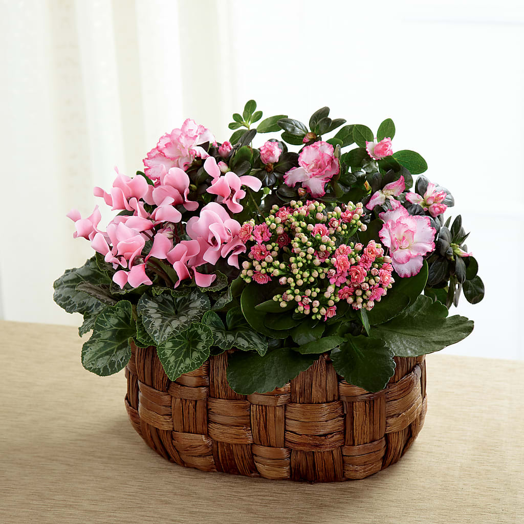 Pink Assortment – Citiflowers, Silver Spring MD