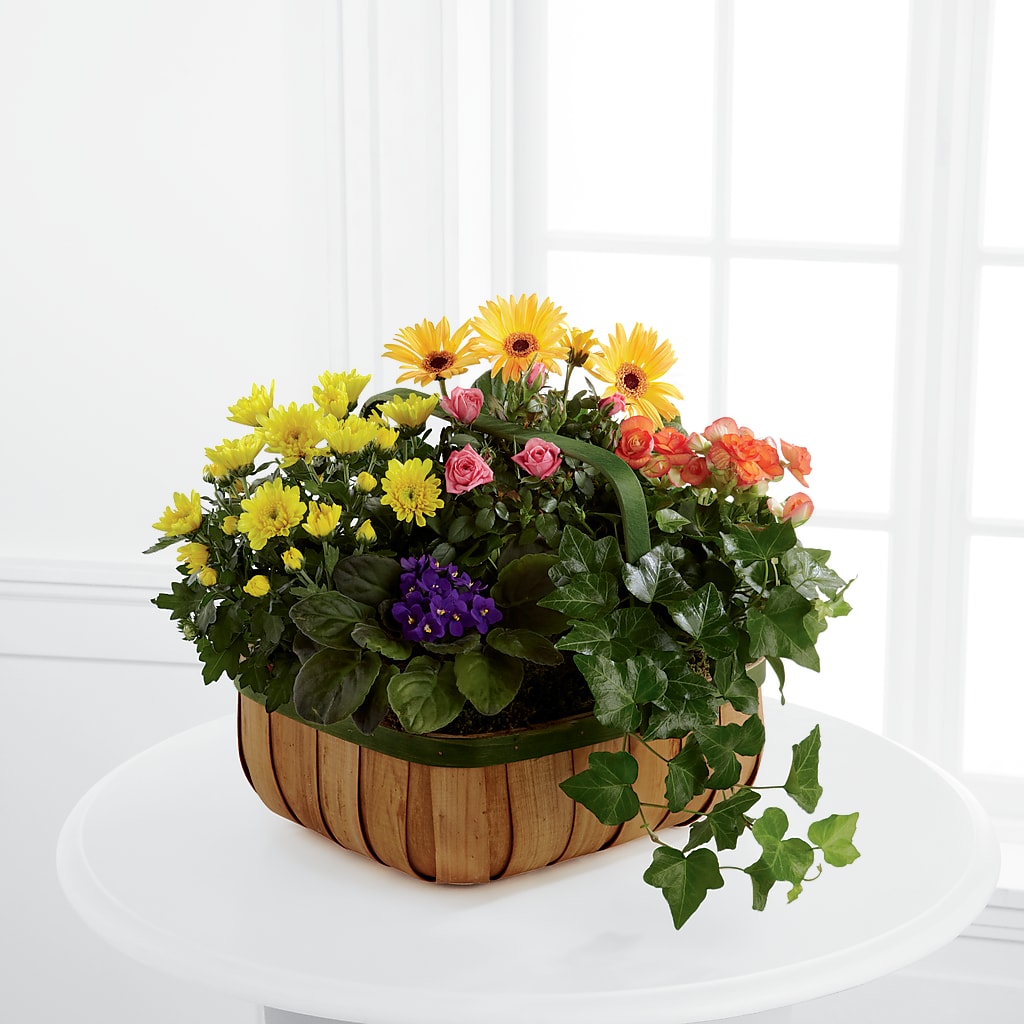 Gentle Blossoms Basket – Citiflowers, Silver Spring MD
