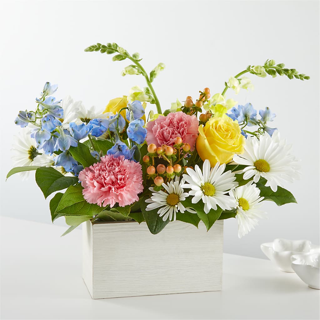Sun Salutation Box Bouquet – Citiflowers, Silver Spring MD