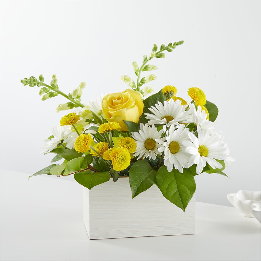 Sun Salutation Box Bouquet – Citiflowers, Silver Spring MD