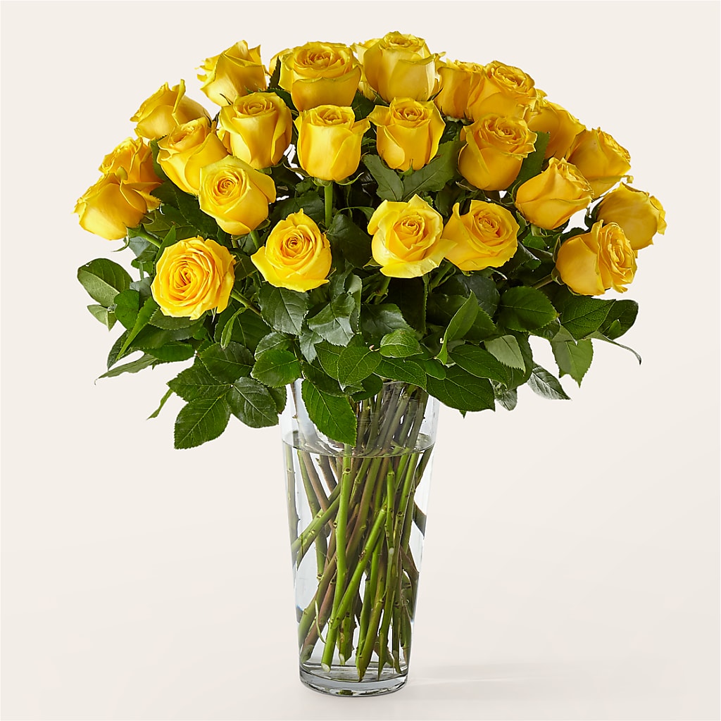 Long Stem Yellow Rose Bouquet – Citiflowers, Silver Spring MD