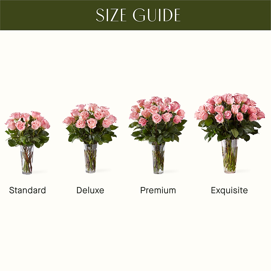 Long Stem Pink Rose Bouquet – Citiflowers, Silver Spring MD