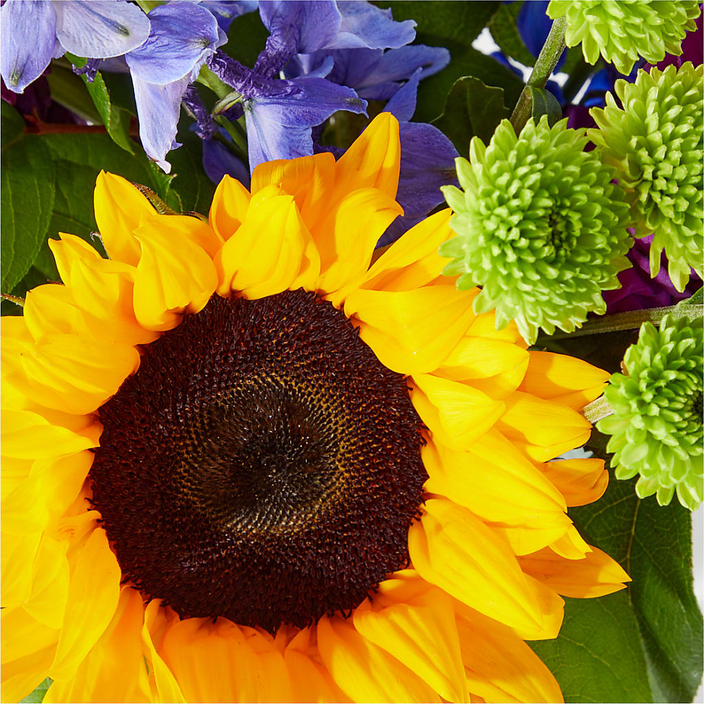 Catching Rays Bouquet – Citiflowers, Silver Spring MD