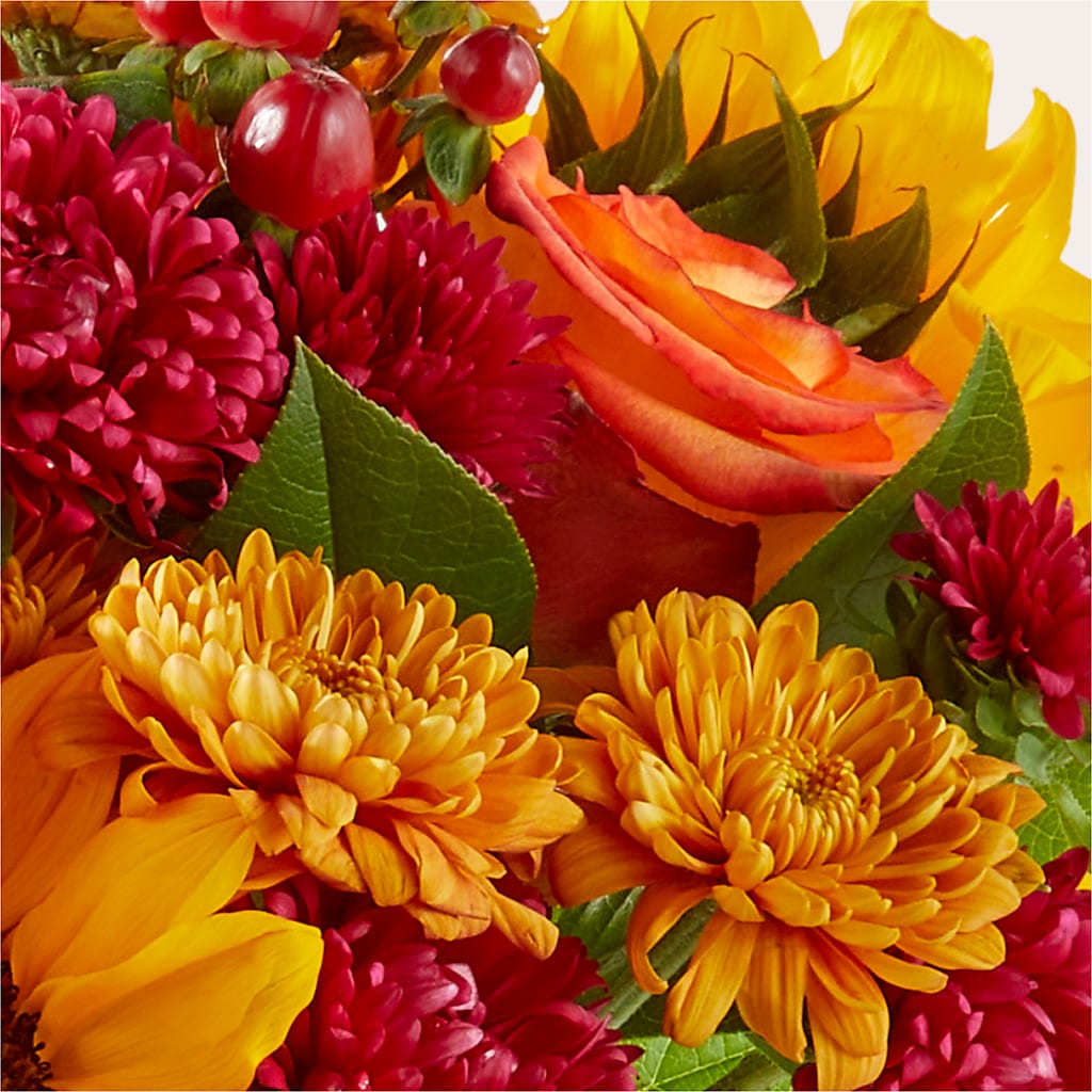 Sweater Season - A Florist Original – Citiflowers, Silver Spring MD