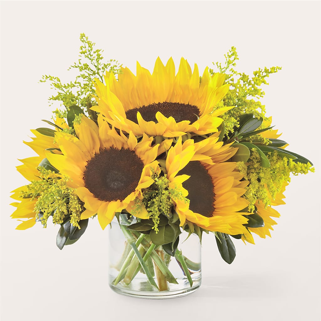 Beaming Sunflower Bouquet – Citiflowers, Silver Spring MD
