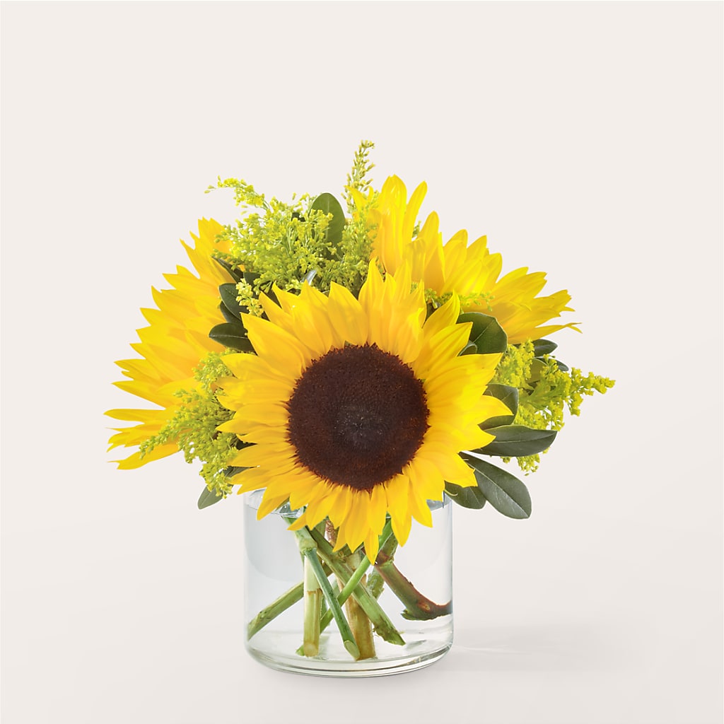 Beaming Sunflower Bouquet – Citiflowers, Silver Spring MD