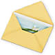 Greeting Card – Citiflowers, Silver Spring MD