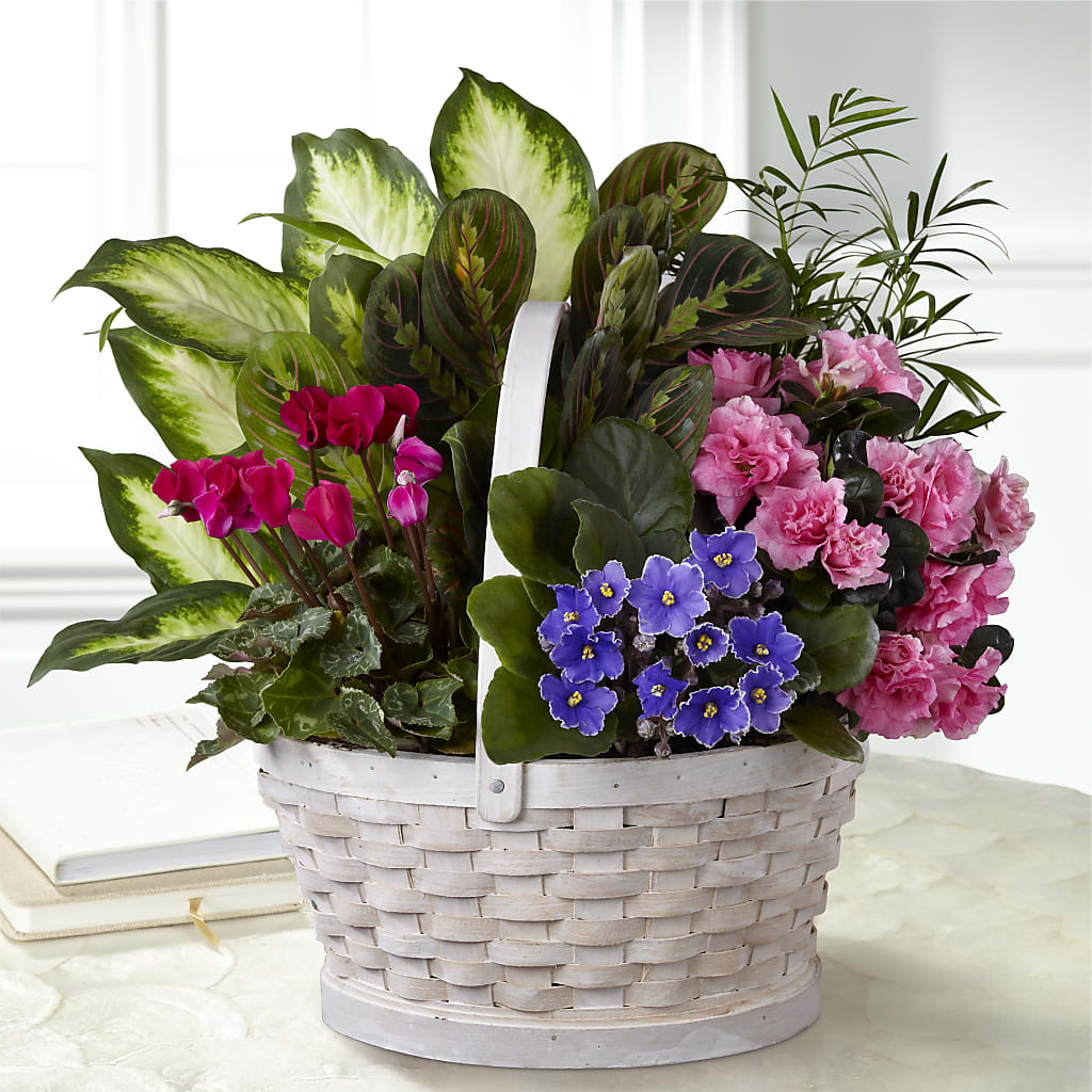 Peaceful Garden Planter – Citiflowers, Silver Spring MD