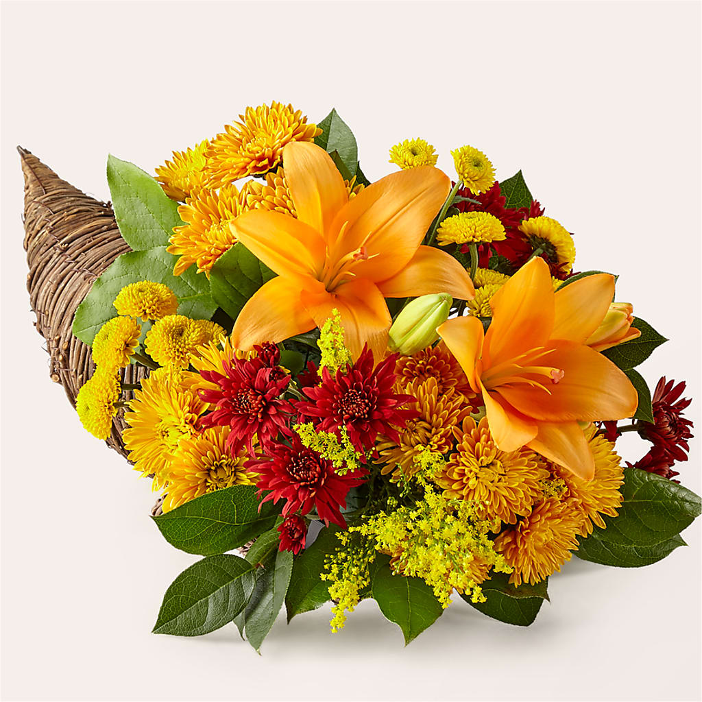 Feast of Color Cornucopia – Citiflowers, Silver Spring MD