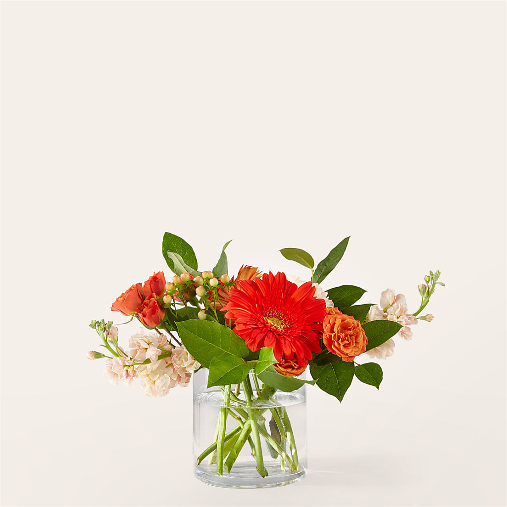 Paloma Please Bouquet – Citiflowers, Silver Spring MD