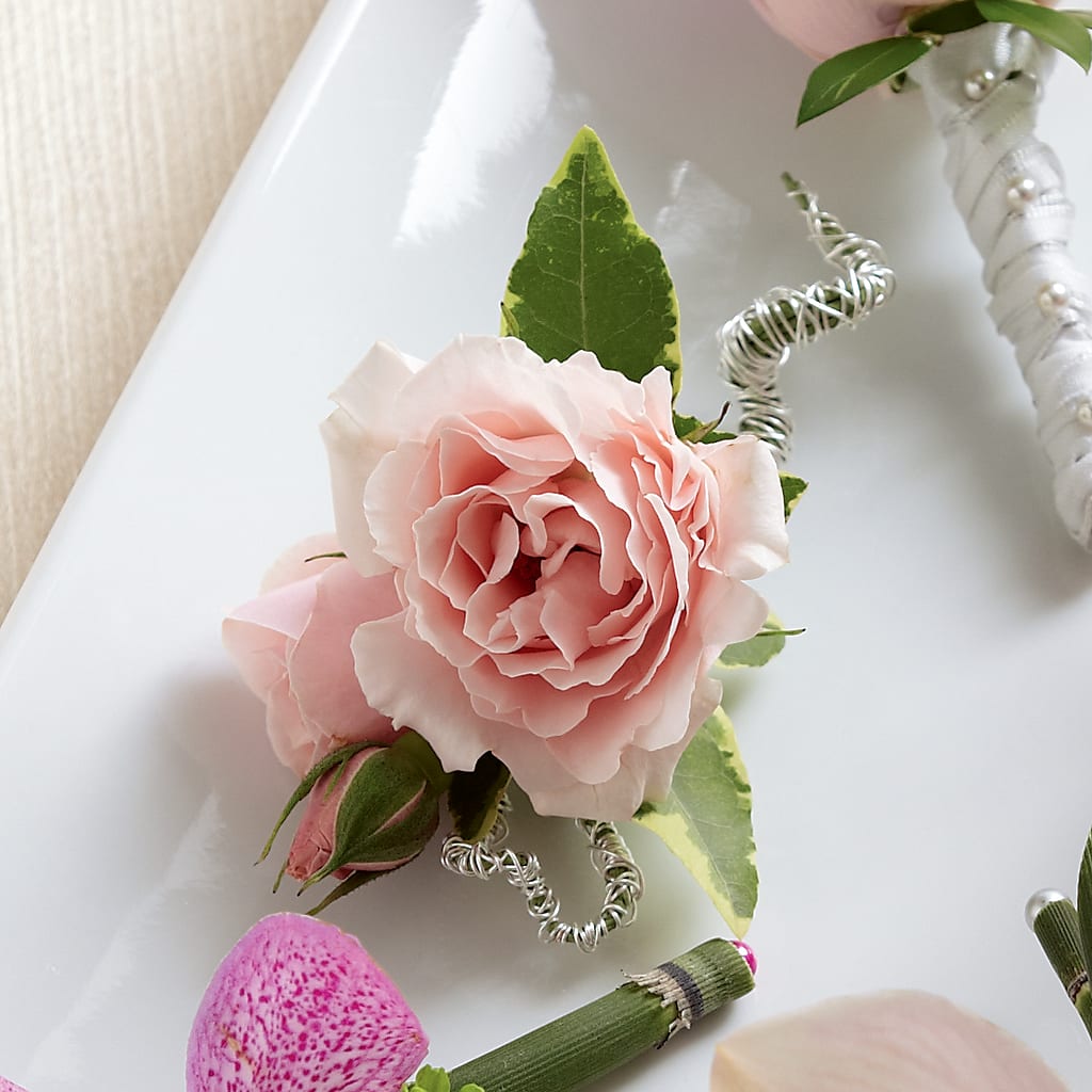 Pink Spray Rose Boutonniere – Citiflowers, Silver Spring MD