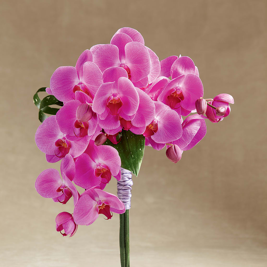 Glorious Bouquet – Citiflowers, Silver Spring MD