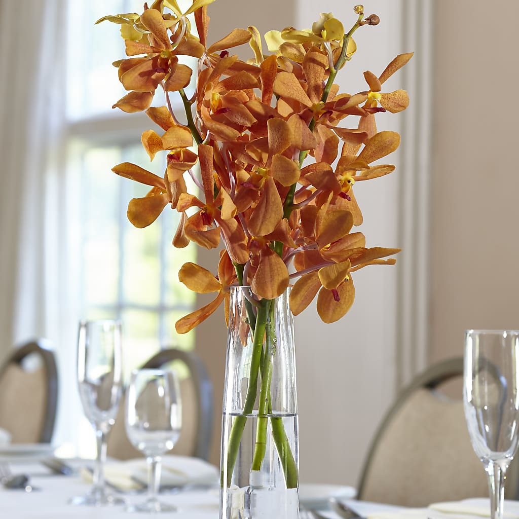 Orange Mokara Bud Vase – Citiflowers, Silver Spring MD