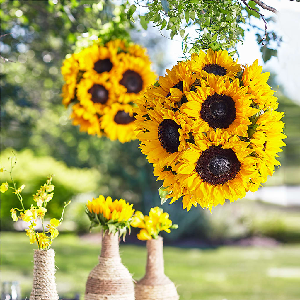 Sublime Garden Hanging Arrangement – Citiflowers, Silver Spring MD