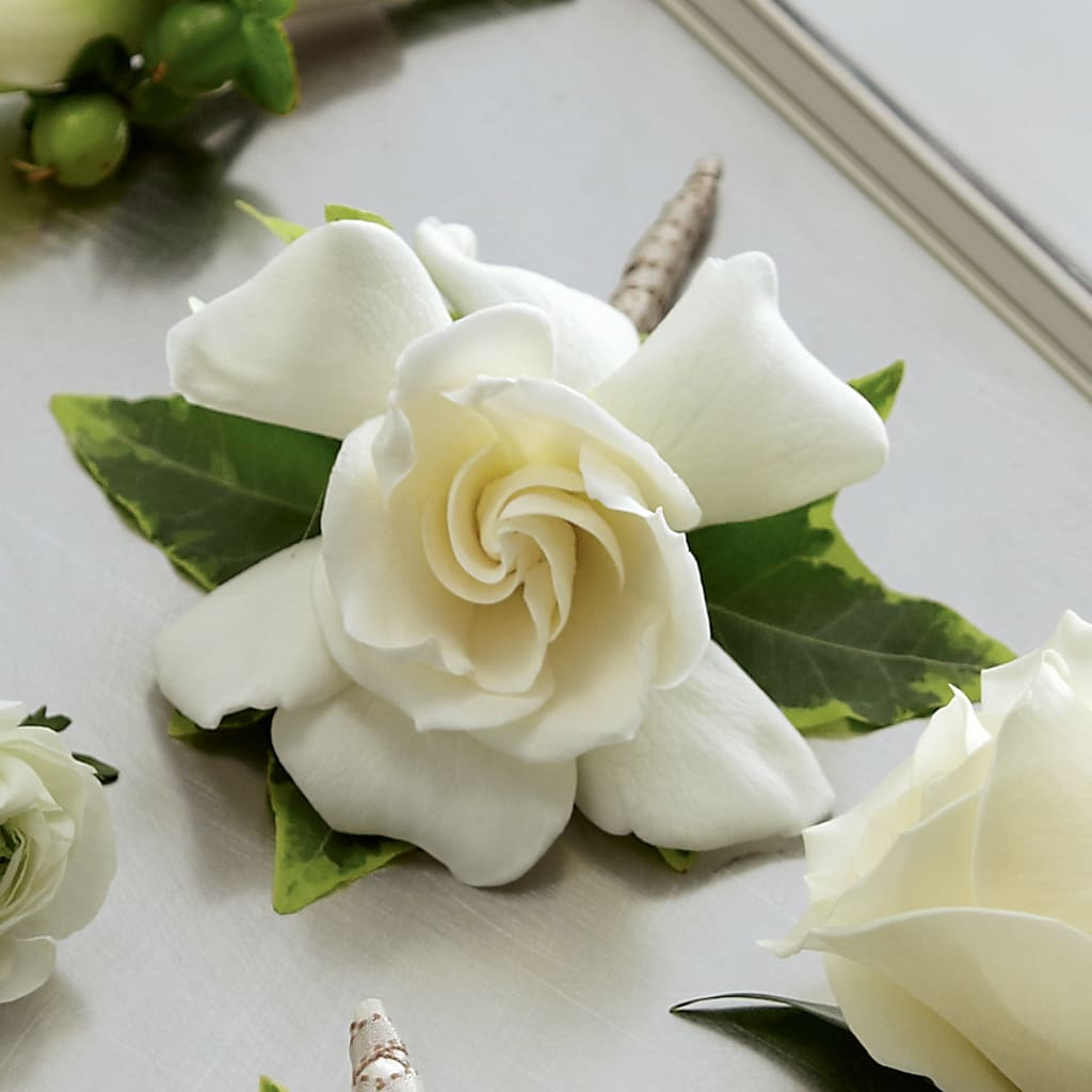 Gardenia Boutonniere – Citiflowers, Silver Spring MD