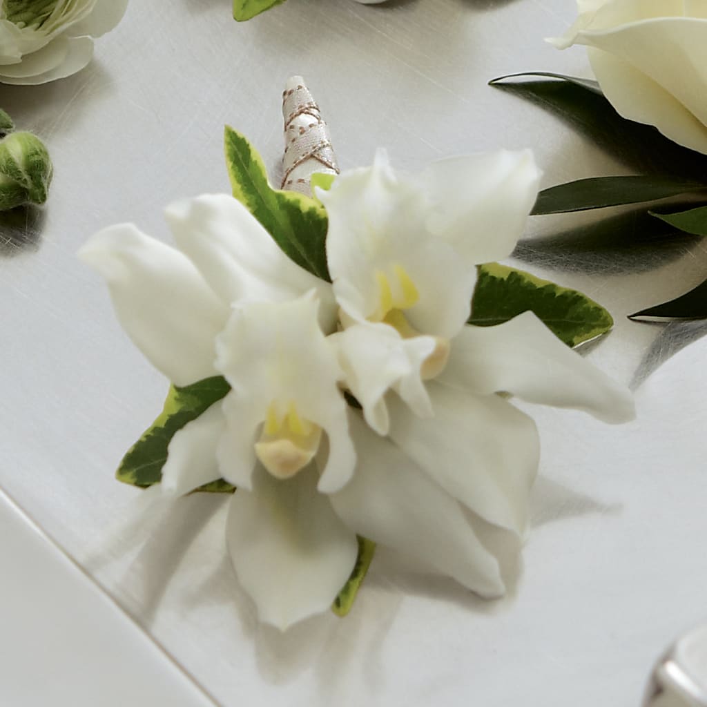 White Mini Cymbidium Boutonniere – Citiflowers, Silver Spring MD
