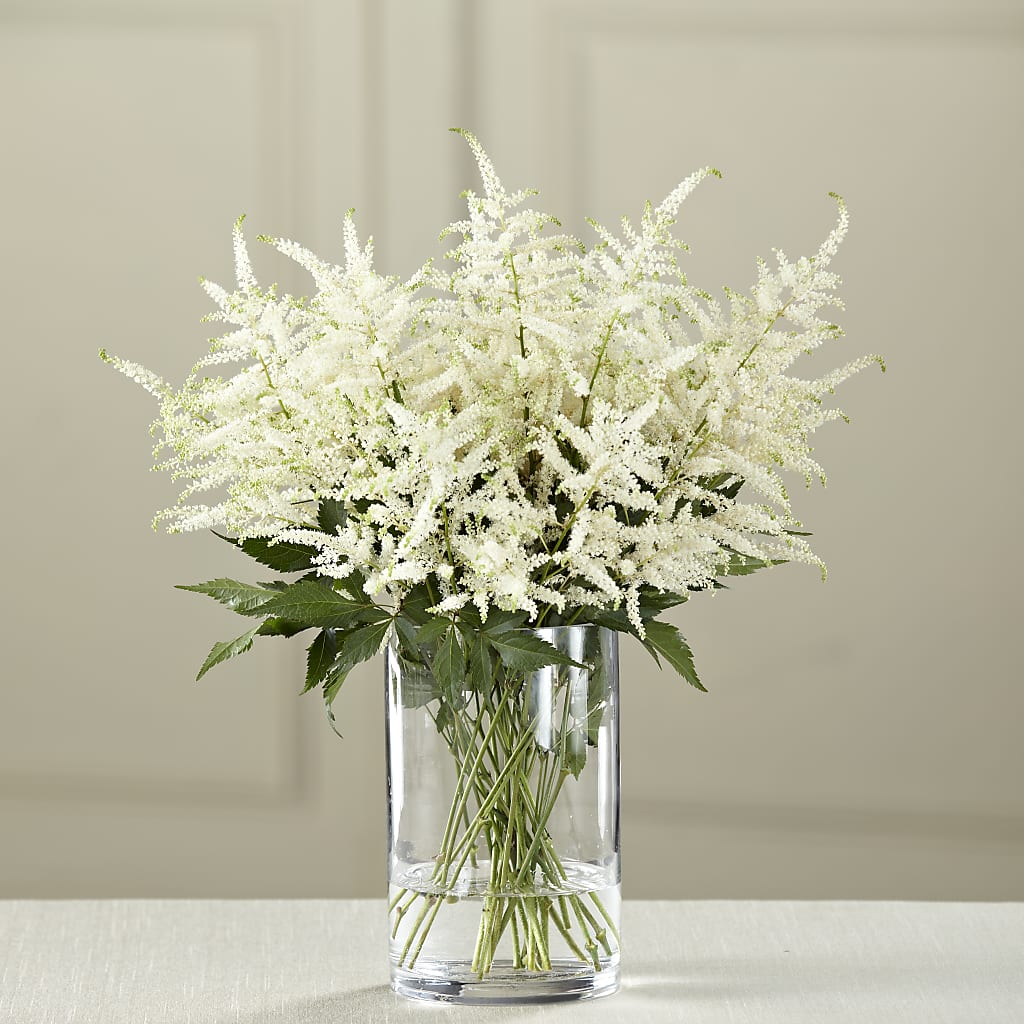 White Astilbe Bouquet – Citiflowers, Silver Spring MD