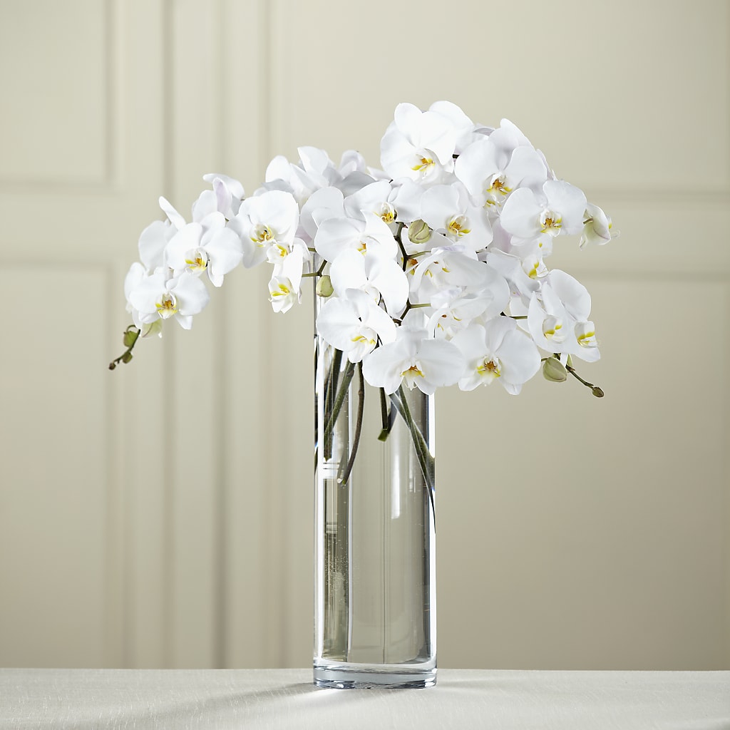 White Phalaenopsis Bouquet – Citiflowers, Silver Spring MD