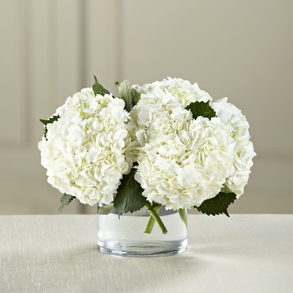 White Hydrangea Bouquet – Citiflowers, Silver Spring MD