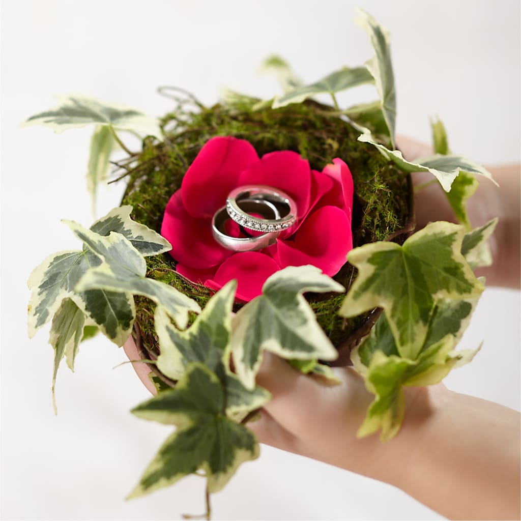 Lila Rose Ring Nest – Citiflowers, Silver Spring MD