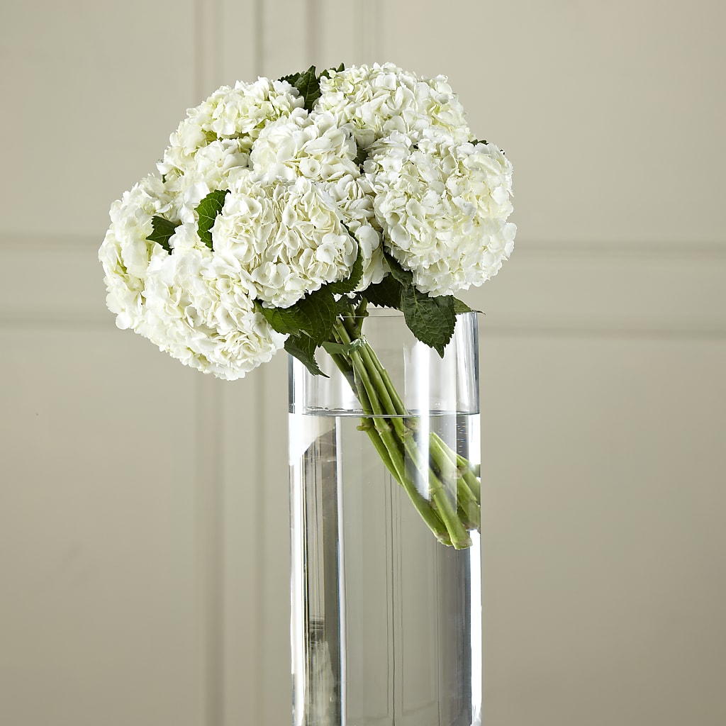 White Hydrangea Hand-Tied Bouquet – Citiflowers, Silver Spring MD