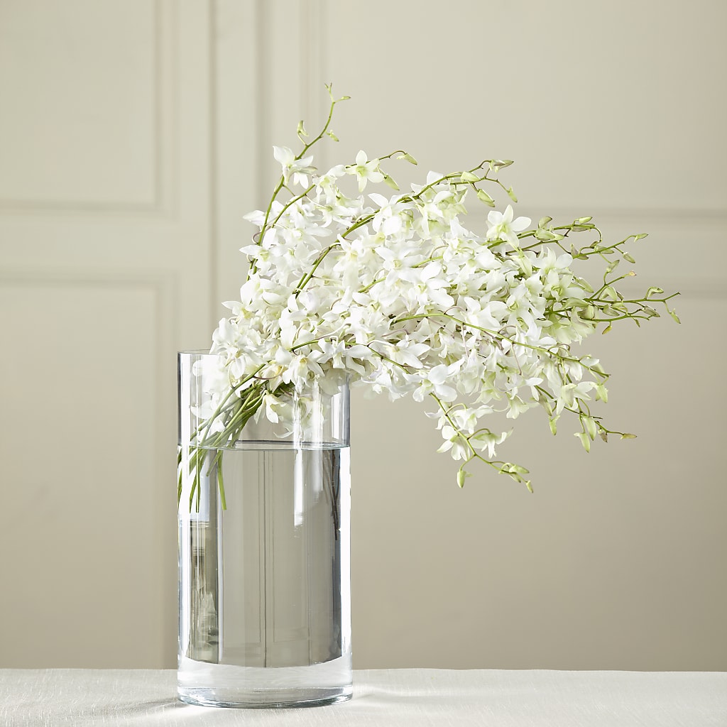 White Dendrobium Bouquet – Citiflowers, Silver Spring MD