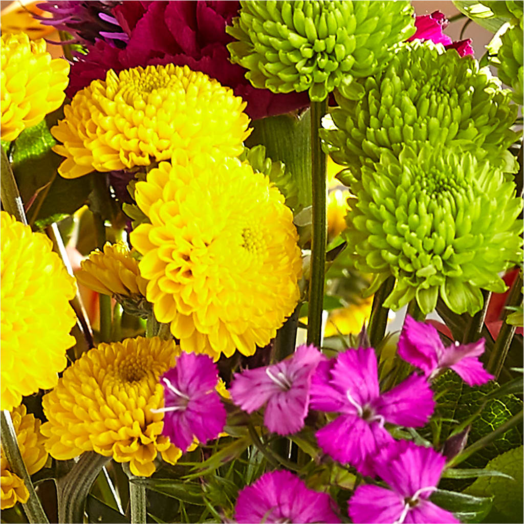 Bold & Bright – A Florist Original –  Citiflowers, Silver Spring MD