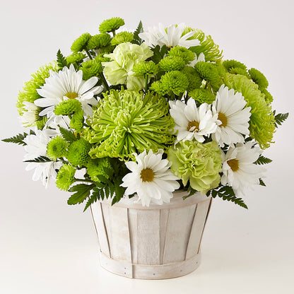 Lucky Charm Basket (Standard) –  Citiflowers, Silver Spring MD