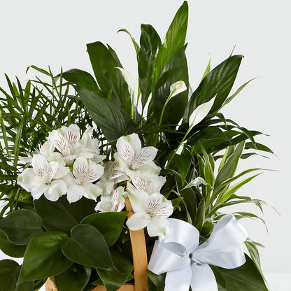 Peace & Serenity Dishgarden –  Citiflowers, Silver Spring MD