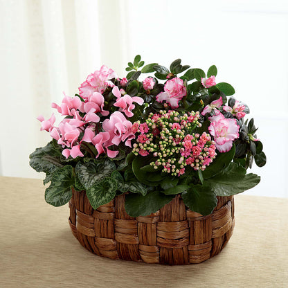 Pink Assortment –  Citiflowers, Silver Spring MD