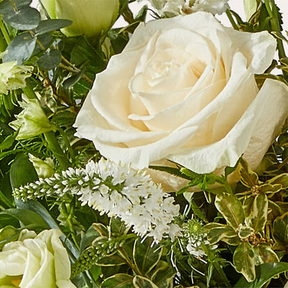 Cashmere Bouquet –  Citiflowers, Silver Spring MD
