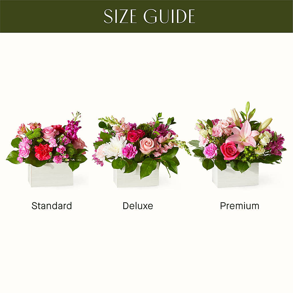 Sweetberry Box – A Florist Original –  Citiflowers, Silver Spring MD
