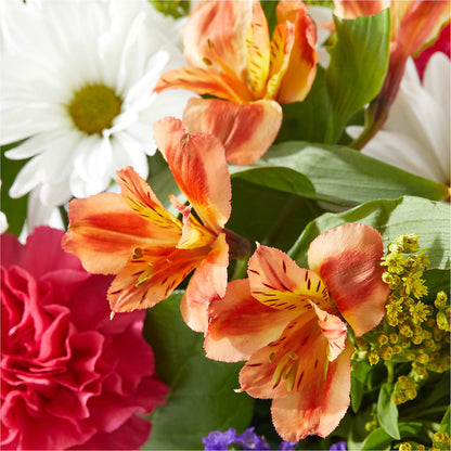 Oopsie Daisy Box Bouquet –  Citiflowers, Silver Spring MD
