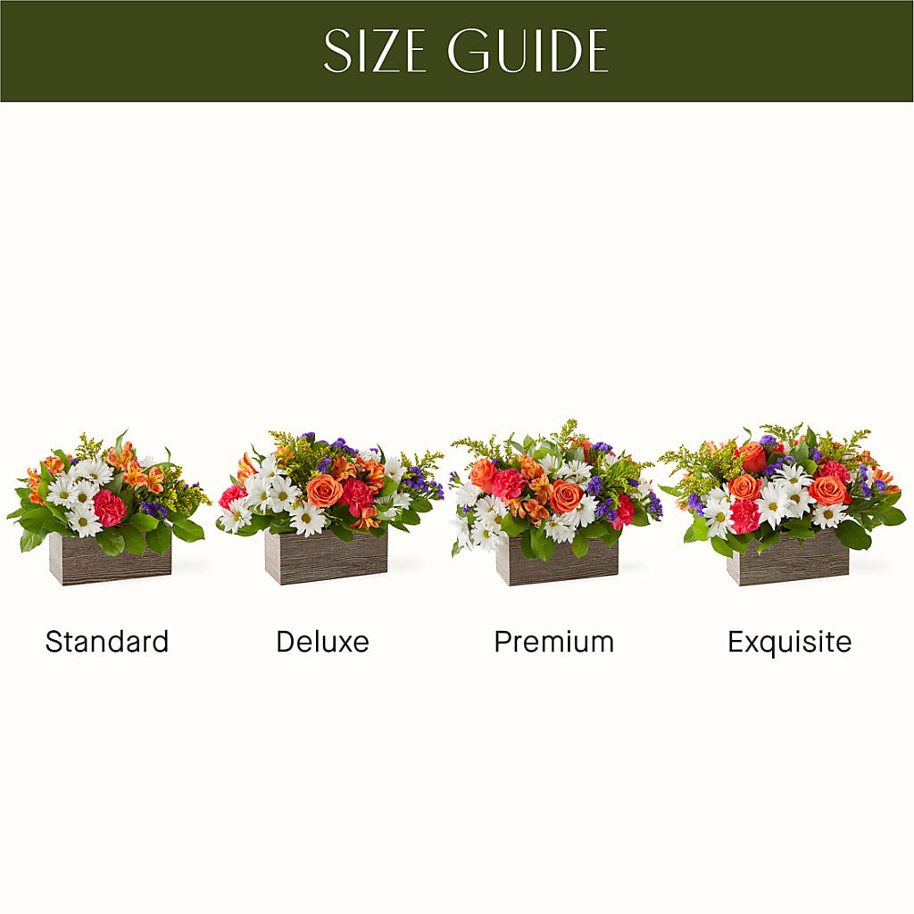 Oopsie Daisy Box Bouquet –  Citiflowers, Silver Spring MD