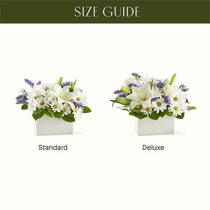 Beyond Blue Box Bouquet –  Citiflowers, Silver Spring MD