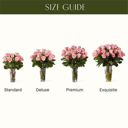 Long Stem Pink Rose Bouquet –  Citiflowers, Silver Spring MD