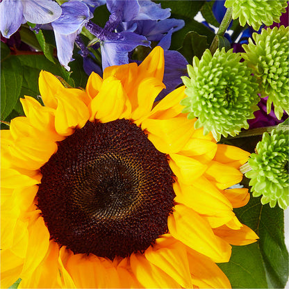 Catching Rays Bouquet –  Citiflowers, Silver Spring MD