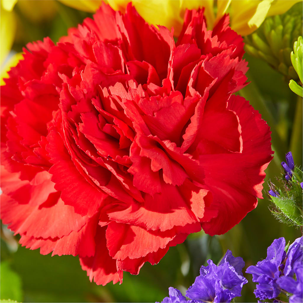 Brighter Days Bouquet –  Citiflowers, Silver Spring MD