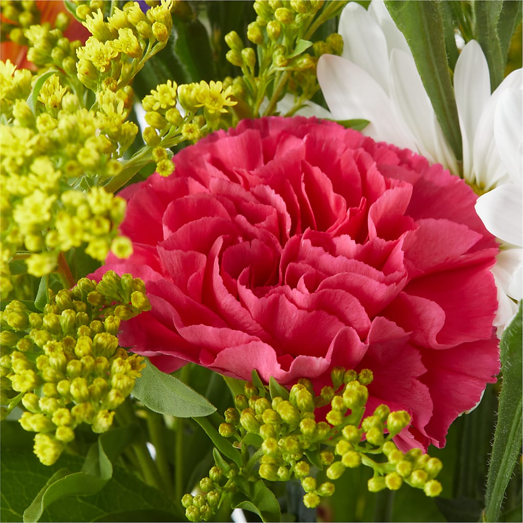 Oopsie Daisy Bouquet –  Citiflowers, Silver Spring MD