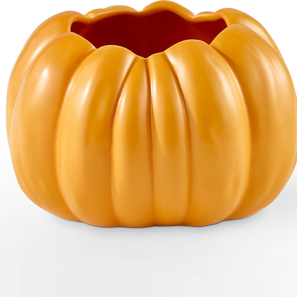 Golden Gourd Pumpkin Bouquet –  Citiflowers, Silver Spring MD