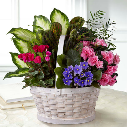 Peaceful Garden Planter –  Citiflowers, Silver Spring MD