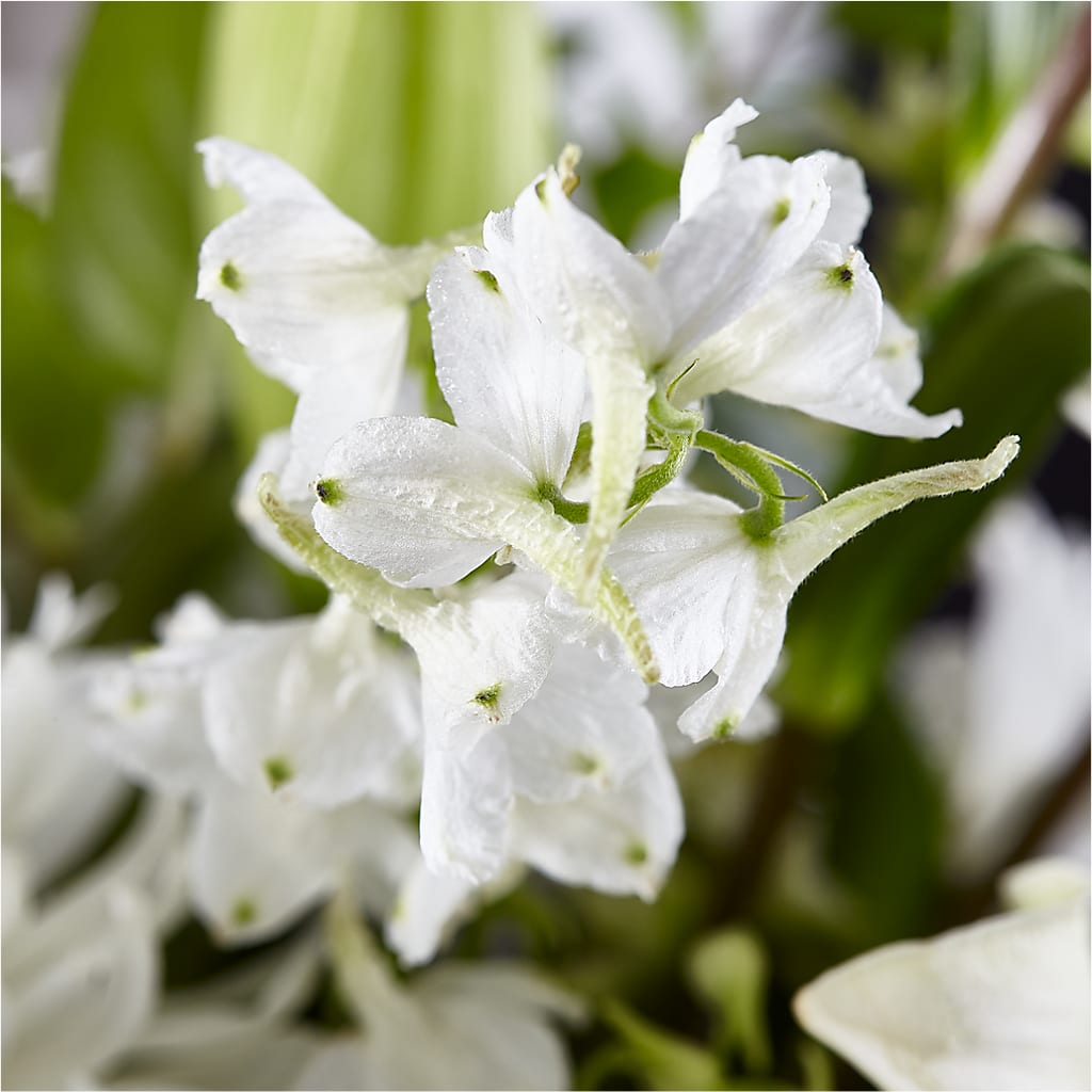 Classic Ivory – A Florist Original –  Citiflowers, Silver Spring MD