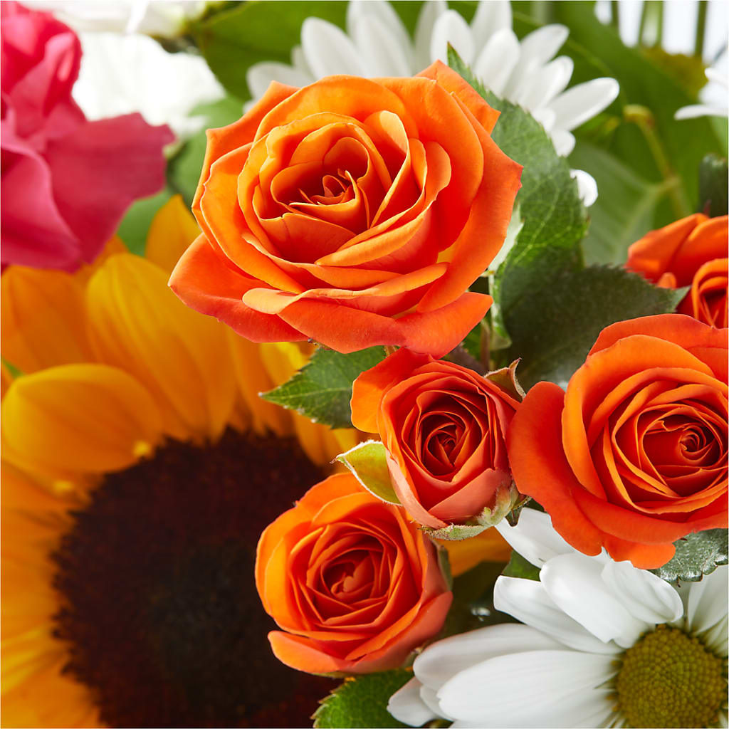 Sun-drenched Blooms Bouquet –  Citiflowers, Silver Spring MD