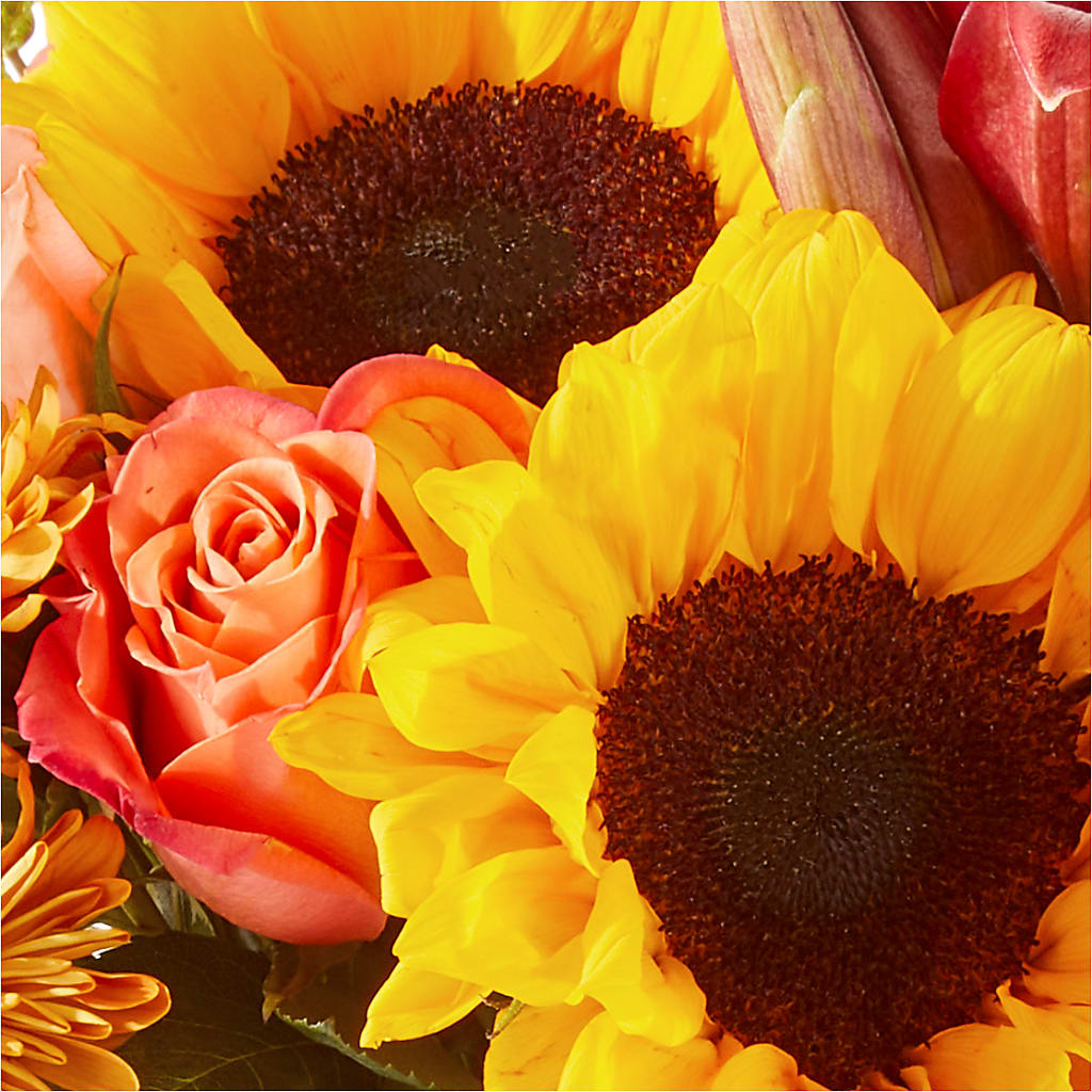 Acorn Lane Bouquet –  Citiflowers, Silver Spring MD