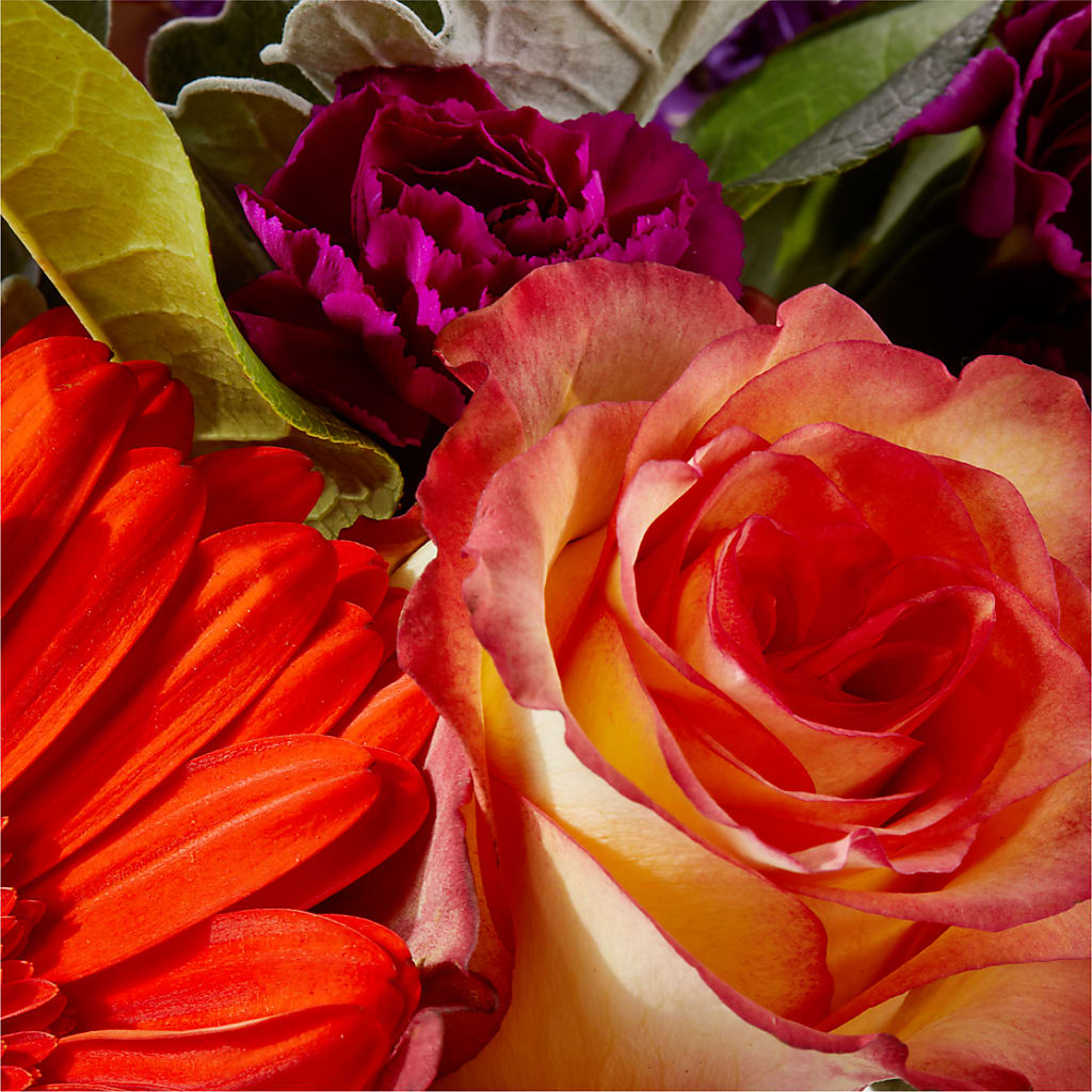 Sangria Bouquet –  Citiflowers, Silver Spring MD