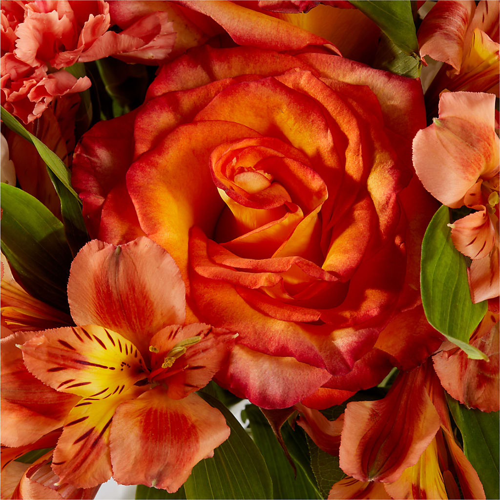 Apricot Glow Bouquet –  Citiflowers, Silver Spring MD