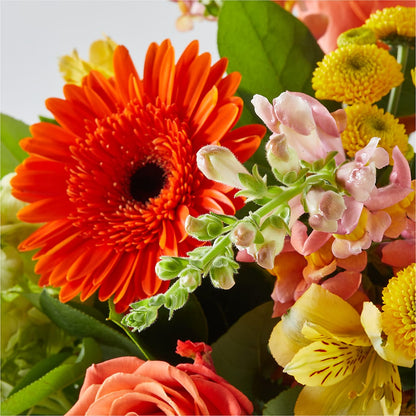 Autumn Sunshine Bouquet –  Citiflowers, Silver Spring MD