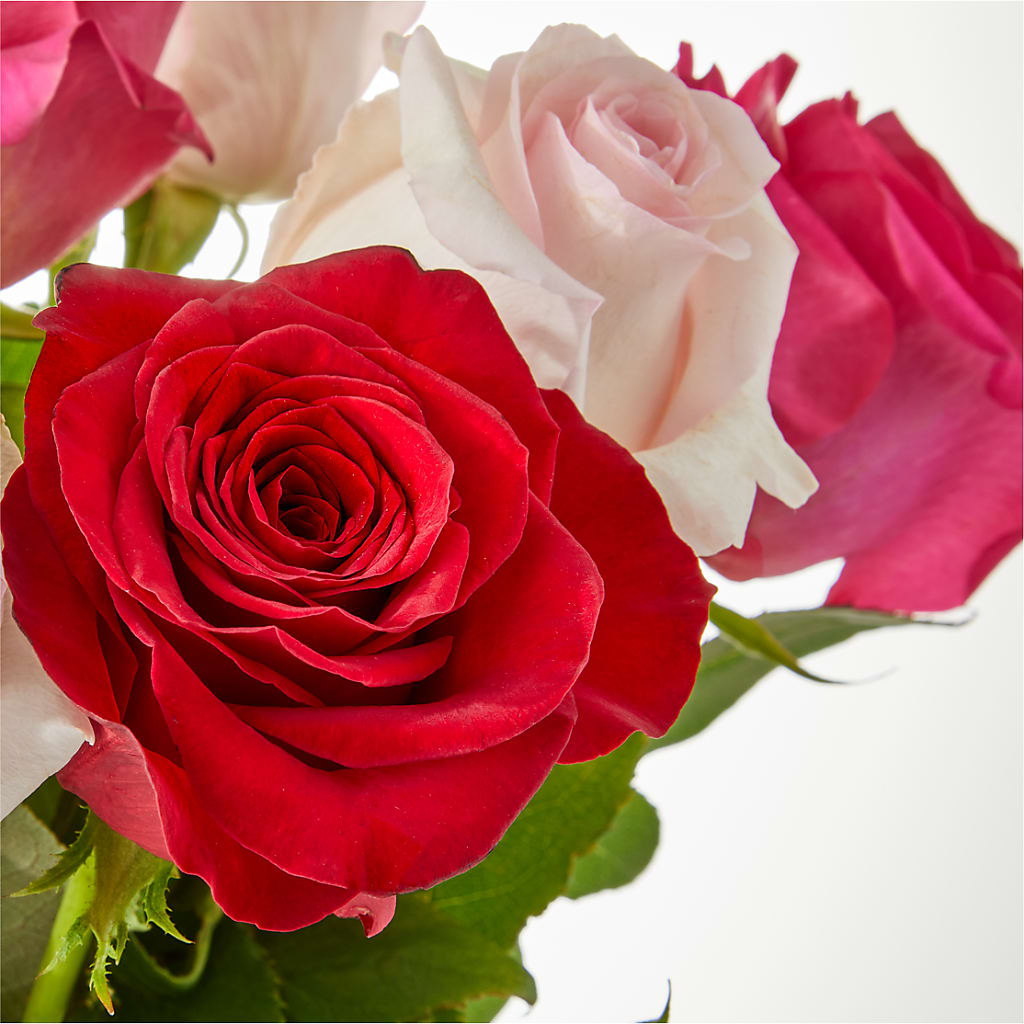 Charming Rose Bouquet –  Citiflowers, Silver Spring MD